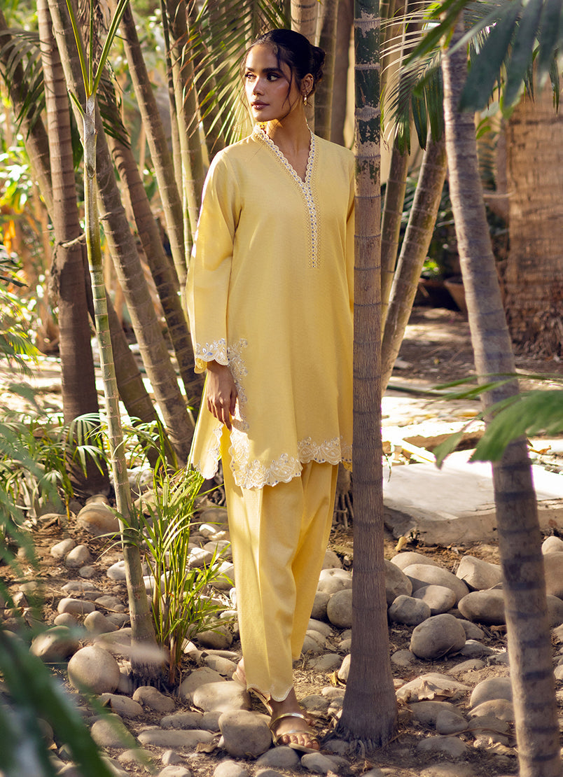 embroidered-co-ord-set