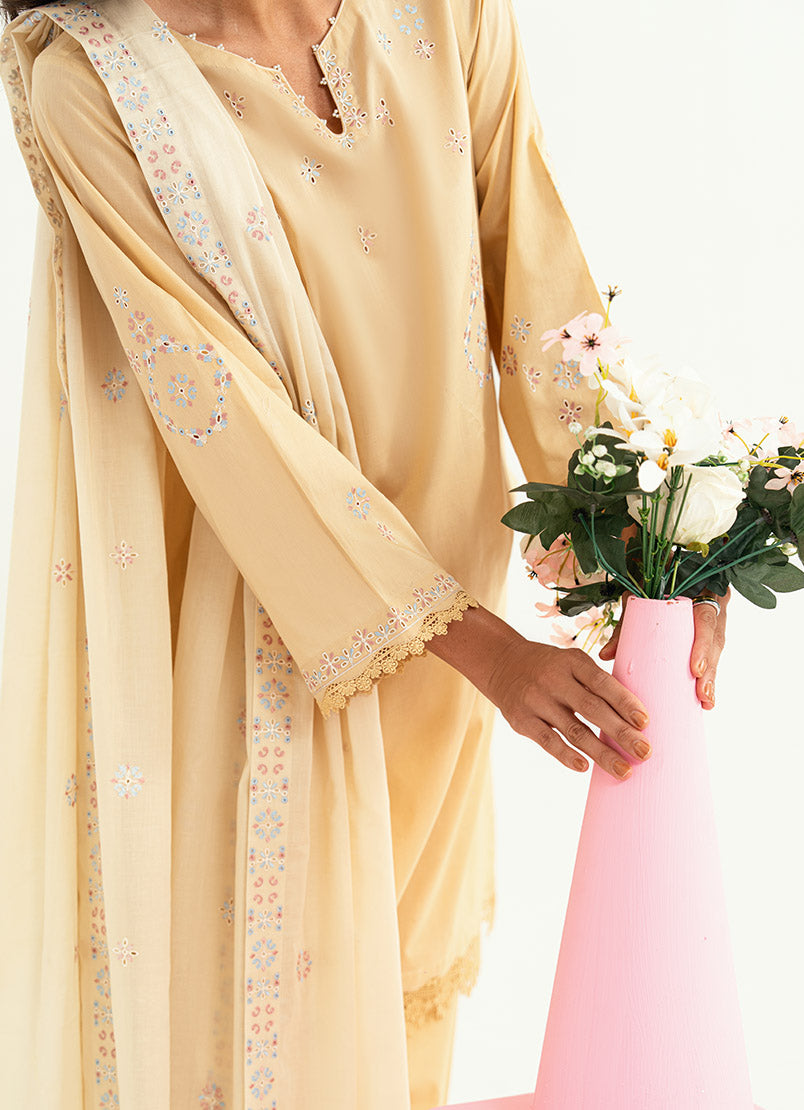 Embroidered 3 PC Suit