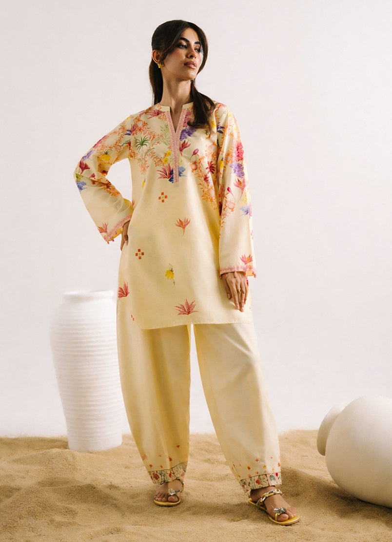 Printed Solid CO-ORD Set