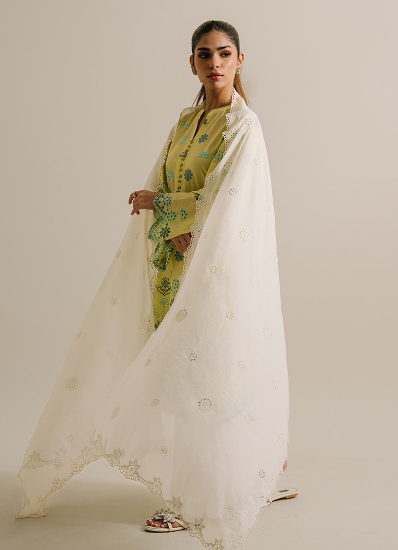embroidered-dupatta