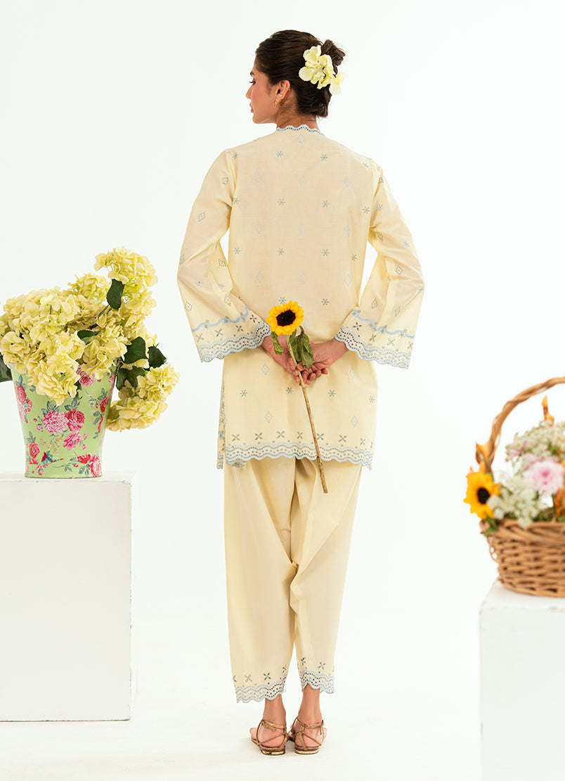 embroidered-co-ord-set