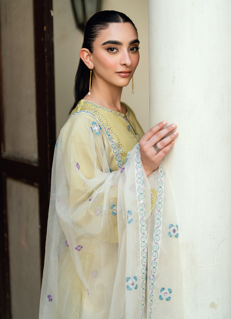 Embroidered 3 PC Suit