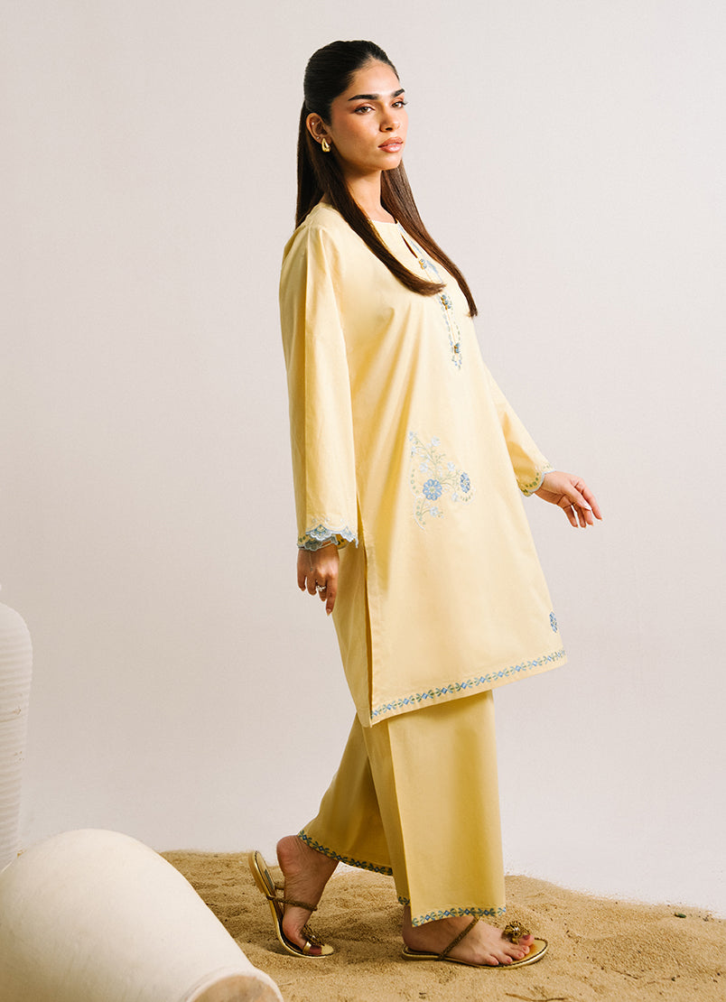 embroidered-co-ord-set