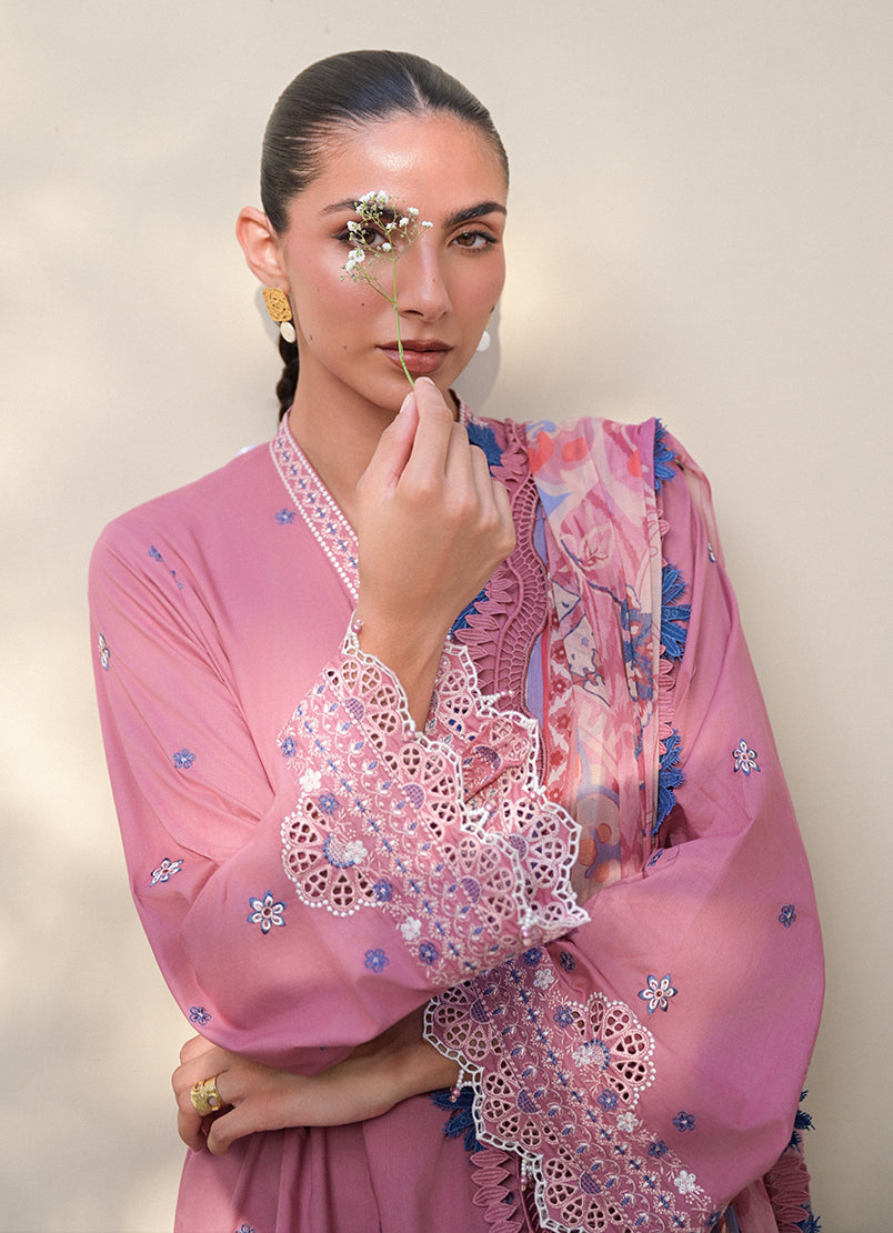 paloma