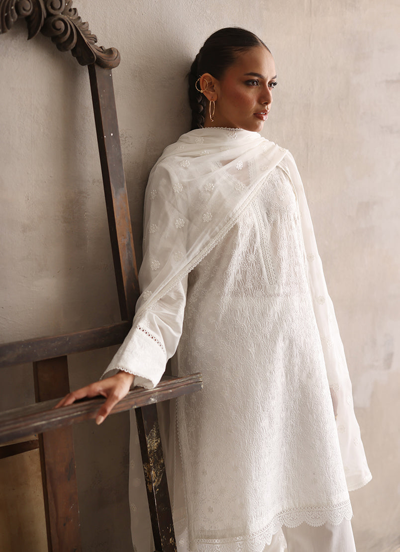 Embroidered  Lace Dupatta